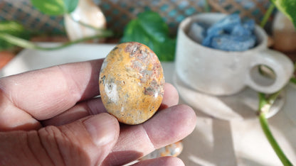 Polished Crazy Agate Palm Natural Crystal Polished Worry Stone Home Decor Anxiety Pocket Distraction Meditation Gift Birthday Christmas