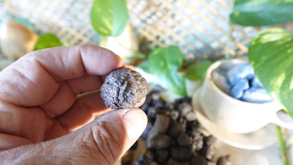 Raw Prophecy Stone: Limonite Hematite Pseudomorph - Arts & Home Decor