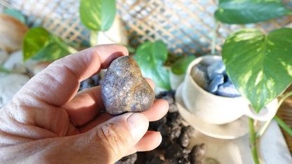 Raw Prophecy Stone: Limonite Hematite Pseudomorph - Arts & Home Decor