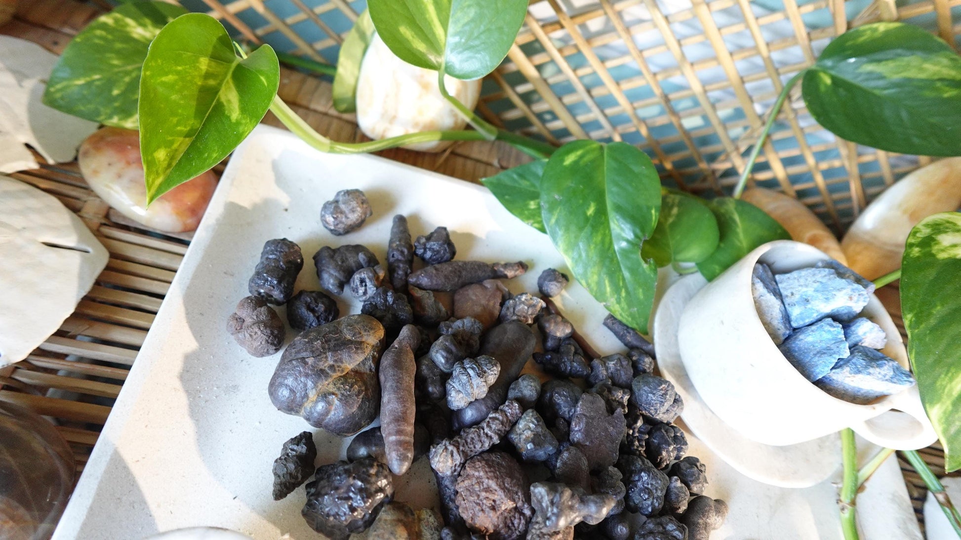 Raw Prophecy Stone: Limonite Hematite Pseudomorph - Arts & Home Decor