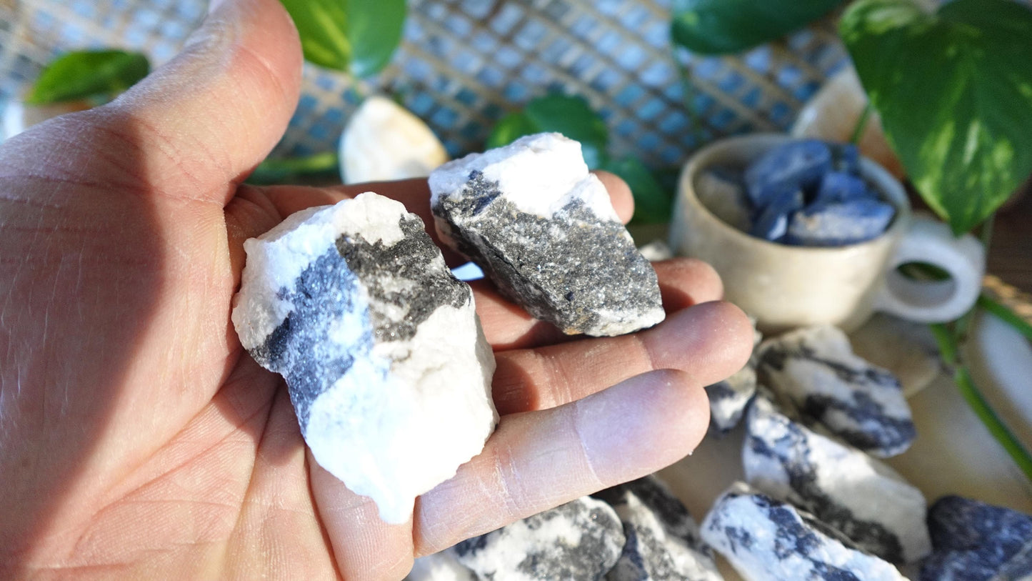 Raw Zebra Jasper Crystals Natural Crystal Worry Stone Home Decor Anxiety Pocket Distraction Meditation Gift Birthday Christmas