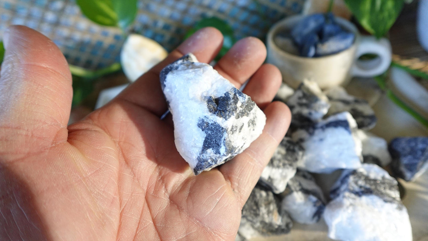 Raw Zebra Jasper Crystals Natural Crystal Worry Stone Home Decor Anxiety Pocket Distraction Meditation Gift Birthday Christmas