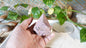 Cherry Creek Jasper Crystal Point: Raw Cut, Polished Home Decor
