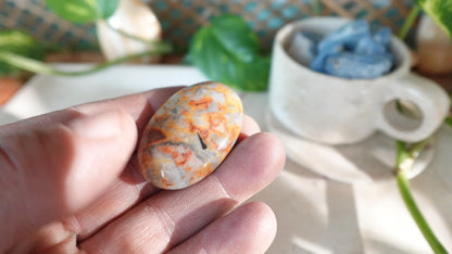 Polished Crazy Agate Palm Natural Crystal Polished Worry Stone Home Decor Anxiety Pocket Distraction Meditation Gift Birthday Christmas