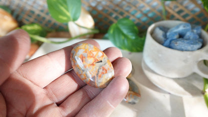 Polished Crazy Agate Palm Natural Crystal Polished Worry Stone Home Decor Anxiety Pocket Distraction Meditation Gift Birthday Christmas