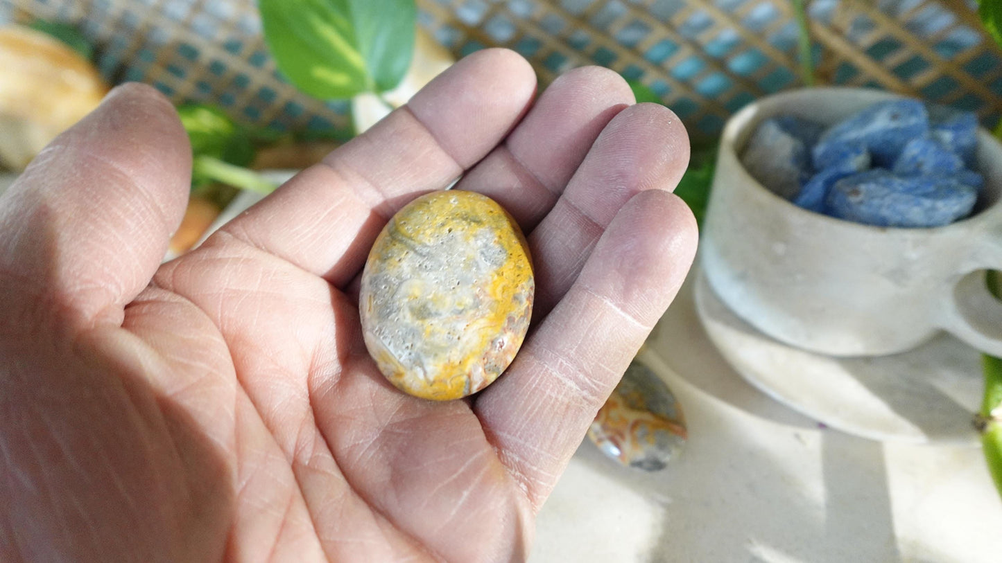 Polished Crazy Agate Palm Natural Crystal Polished Worry Stone Home Decor Anxiety Pocket Distraction Meditation Gift Birthday Christmas