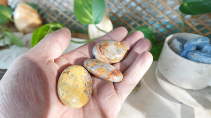Polished Crazy Agate Palm Natural Crystal Polished Worry Stone Home Decor Anxiety Pocket Distraction Meditation Gift Birthday Christmas