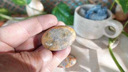 Polished Crazy Agate Palm Natural Crystal Polished Worry Stone Home Decor Anxiety Pocket Distraction Meditation Gift Birthday Christmas