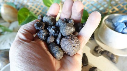 Raw Prophecy Stone: Limonite Hematite Pseudomorph - Arts & Home Decor