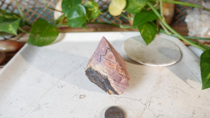 Cherry Creek Jasper Crystal Point: Raw Cut, Polished Home Decor