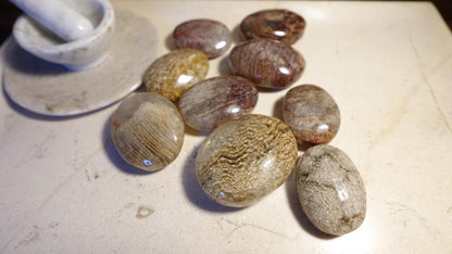 Lodolite Palm Stone: Polished Scenic Quartz Crystal, Worry Stone Home Decor Worry Pocket Stress Anxiety Palm Stone