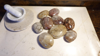 Lodolite Palm Stone: Polished Scenic Quartz Crystal, Worry Stone Home Decor Worry Pocket Stress Anxiety Palm Stone