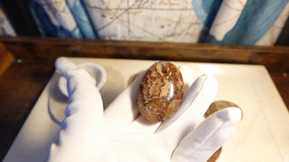 Lodolite Palm Stone: Polished Scenic Quartz Crystal, Worry Stone Home Decor Worry Pocket Stress Anxiety Palm Stone