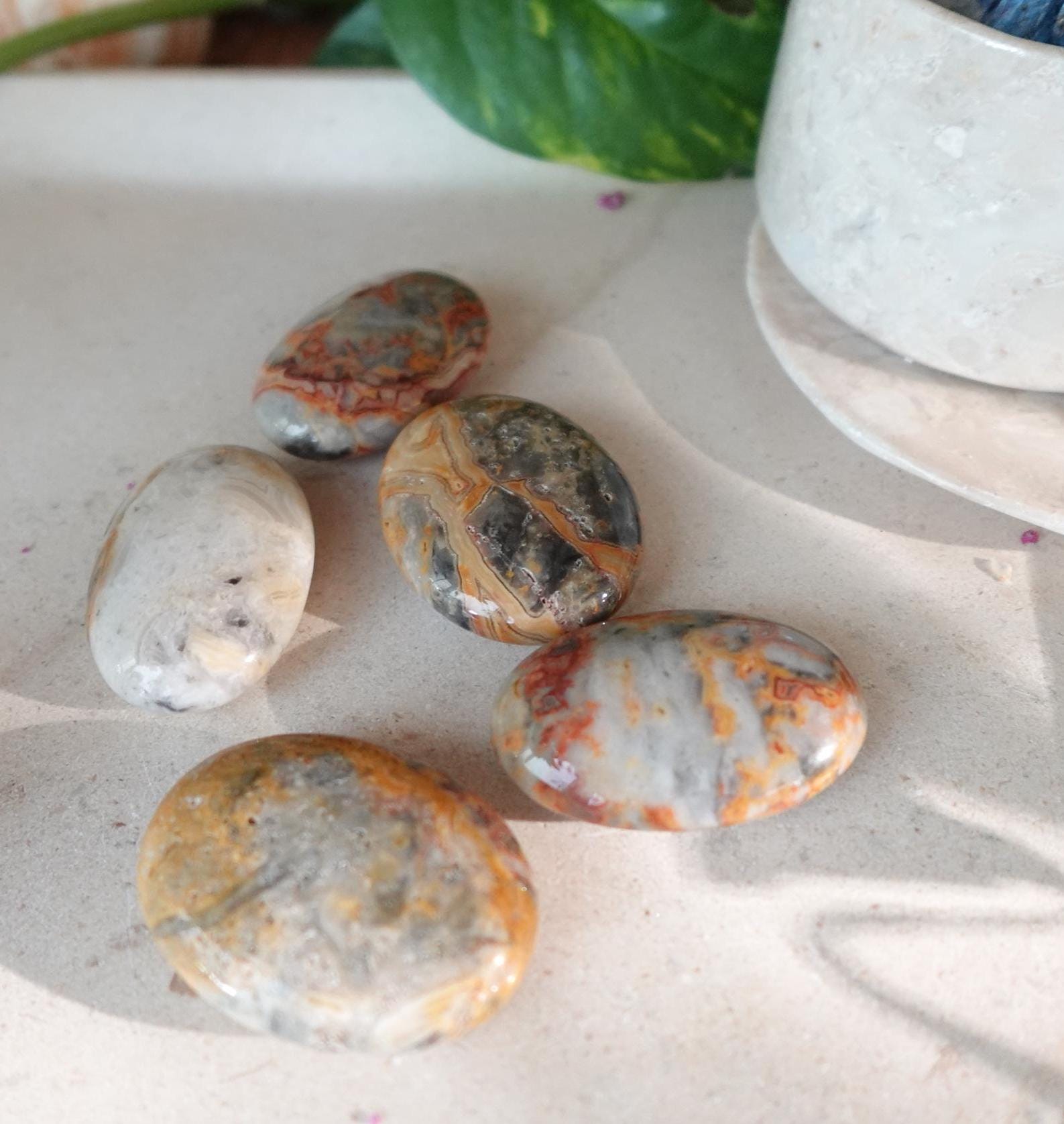 Polished Crazy Agate Palm Natural Crystal Polished Worry Stone Home Decor Anxiety Pocket Distraction Meditation Gift Birthday Christmas