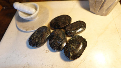 Rare Swedish Arfvedsonite Palm Stone: Polished Worry Stone Home Decor Worry Pocket Stress Anxiety Palm Stone