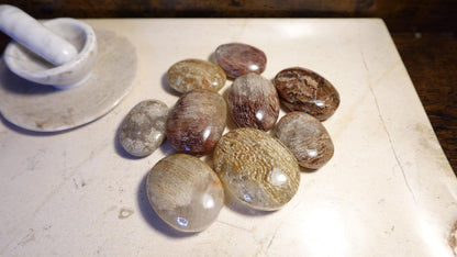 Lodolite Palm Stone: Polished Scenic Quartz Crystal, Worry Stone Home Decor Worry Pocket Stress Anxiety Palm Stone