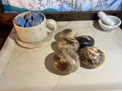 Fossil Wood Palm Stone Natural Crystal Polished Worry Stone Home Decor Anxiety Pocket Distraction Meditation Gift Birthday Christmas