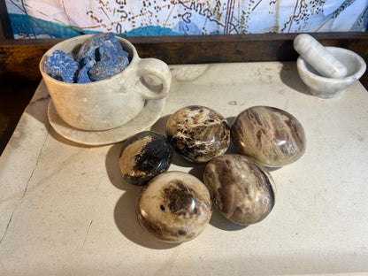Fossil Wood Palm Stone Natural Crystal Polished Worry Stone Home Decor Anxiety Pocket Distraction Meditation Gift Birthday Christmas