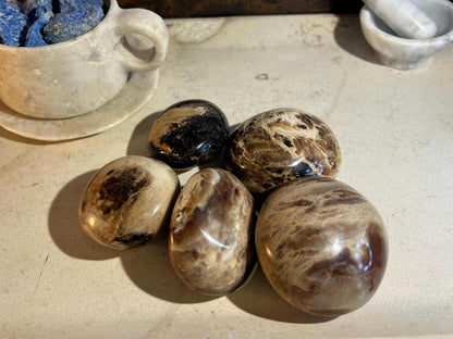 Fossil Wood Palm Stone Natural Crystal Polished Worry Stone Home Decor Anxiety Pocket Distraction Meditation Gift Birthday Christmas