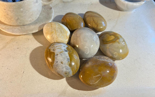 Indian Agatized Coral Natural Palm Stone Smooth Polished Carved Crystal for Distraction Home Decor Christmas Xmas Birthday Worry Anxiety