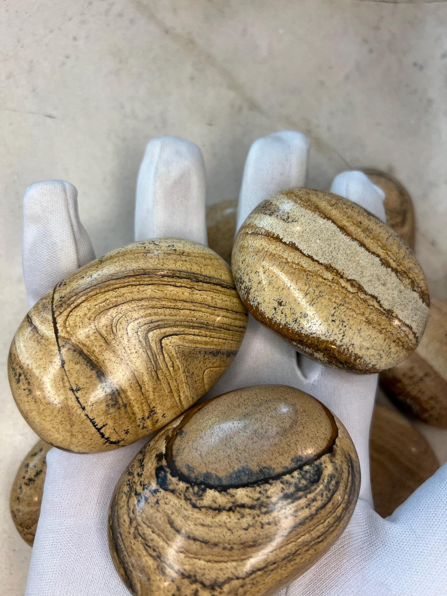 Owyhee Jasper Palm Stone: Polished Picture Jasper, Crystal for Meditation Home Decor Worry Pocket Stress Anxiety Palm Stone