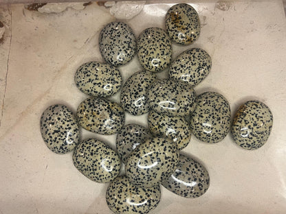 Indian Dalmation Jasper Palm Stone: Smooth Crystal Thumb Stone Home Decor Worry Pocket Stress Anxiety Palm Stone