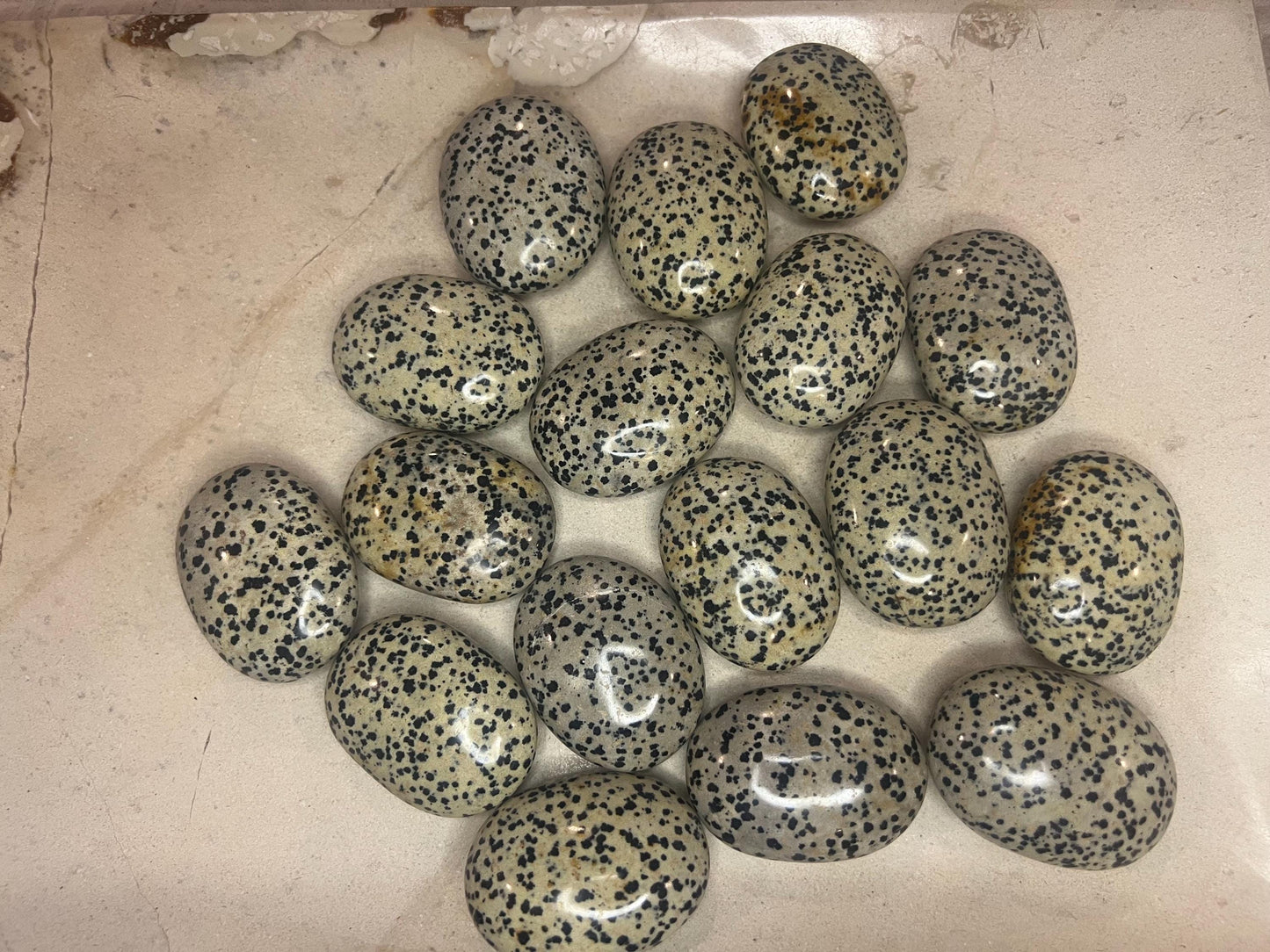 Indian Dalmation Jasper Palm Stone: Smooth Crystal Thumb Stone Home Decor Worry Pocket Stress Anxiety Palm Stone