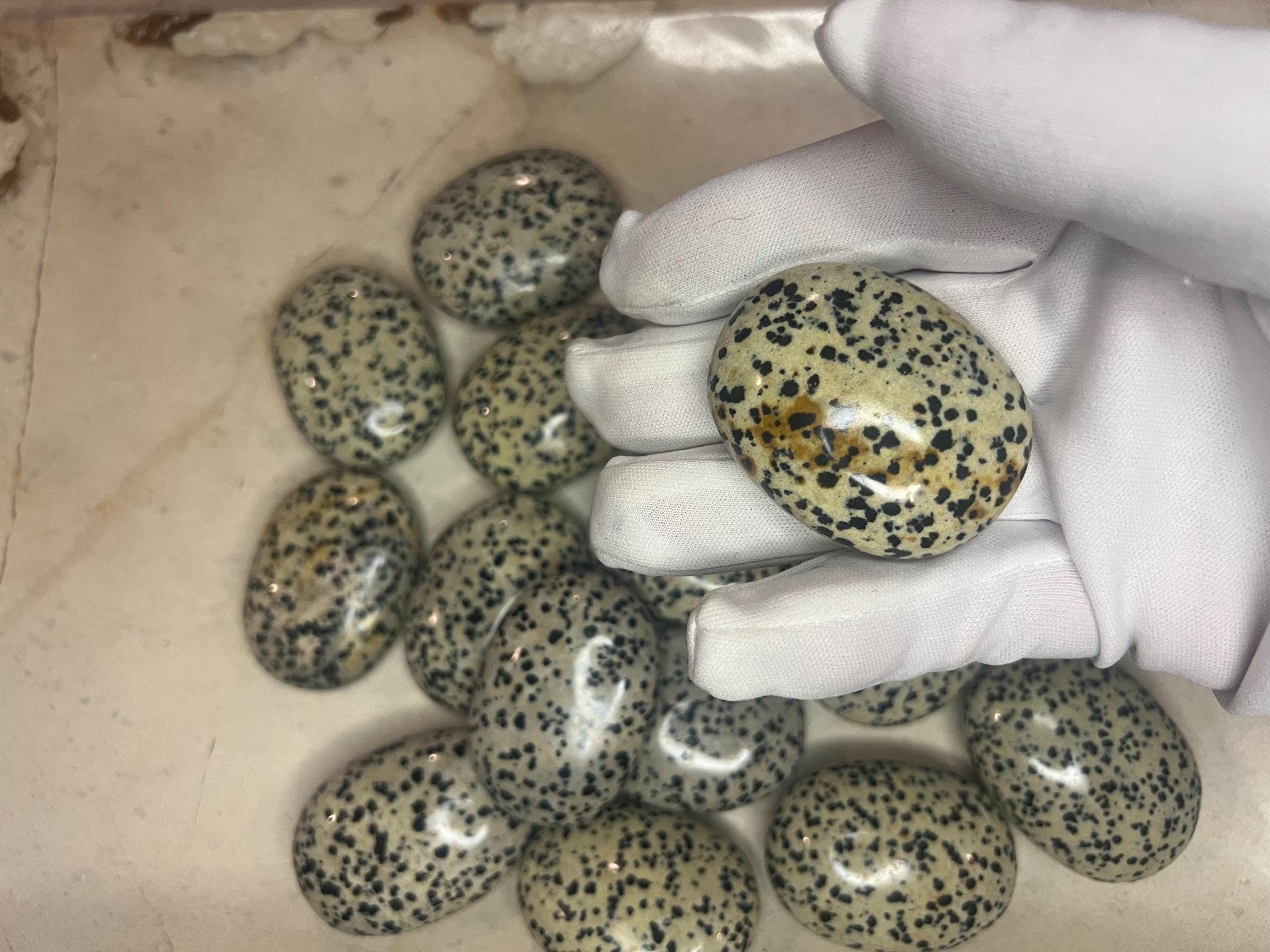 Indian Dalmation Jasper Palm Stone: Smooth Crystal Thumb Stone Home Decor Worry Pocket Stress Anxiety Palm Stone