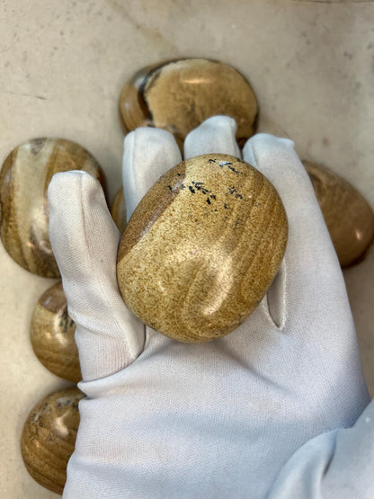 Owyhee Jasper Palm Stone: Polished Picture Jasper, Crystal for Meditation Home Decor Worry Pocket Stress Anxiety Palm Stone
