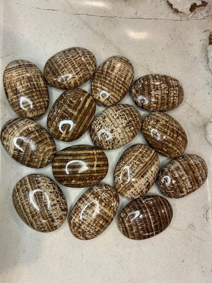 Indian Brown Aragonite Palm Stone: Polished Worry Stone Home Decor Worry Pocket Stress Anxiety Palm Stone