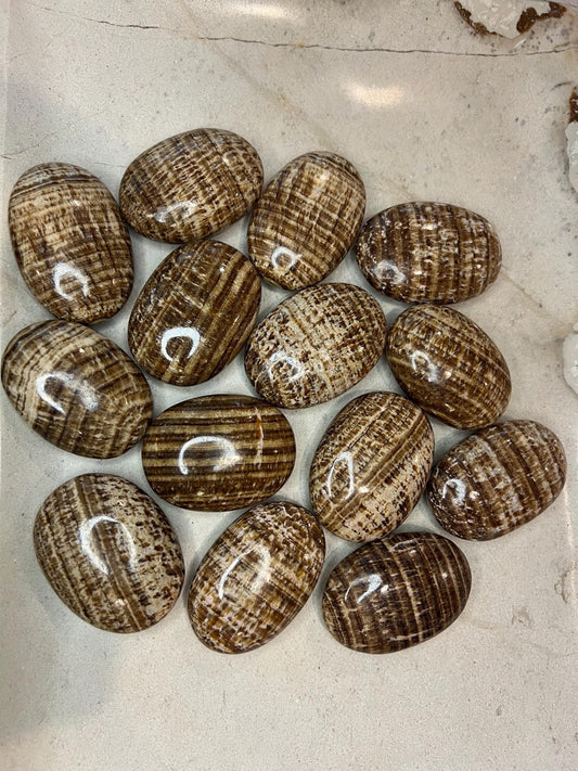 Indian Brown Arragonite Palm Stone Smooth Polished Crystal for Distraction Christmas Xmas Gift Home Meditation Birthday Anxiety Worry