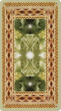 Native American Tarot Deck 78 Cards Fully Licensed and Original Inclusive Tarot Deck Guidebook Home Decor Gift