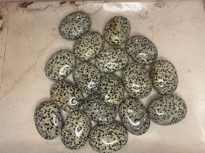 Indian Dalmation Jasper Palm Stone: Smooth Crystal Thumb Stone Home Decor Worry Pocket Stress Anxiety Palm Stone