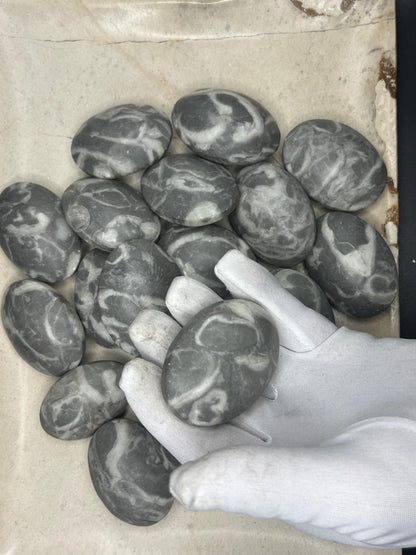 Texas Shell Stone Fossil: Polished Palm Worry Stone, Home Decor Home Decor Worry Pocket Stress Anxiety Palm Stone