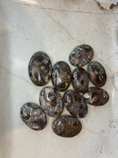 Wisconsin Turritella Fossil Palm Natural Crystal Polished Worry Stone Home Decor Anxiety Pocket Distraction Meditation Birthday Christmas
