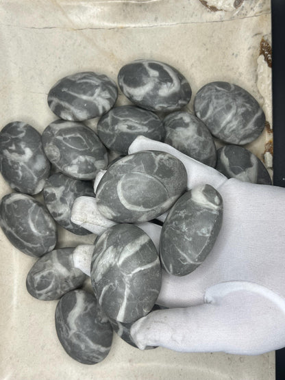 Texas Shell Stone Fossil: Polished Palm Worry Stone, Home Decor Home Decor Worry Pocket Stress Anxiety Palm Stone