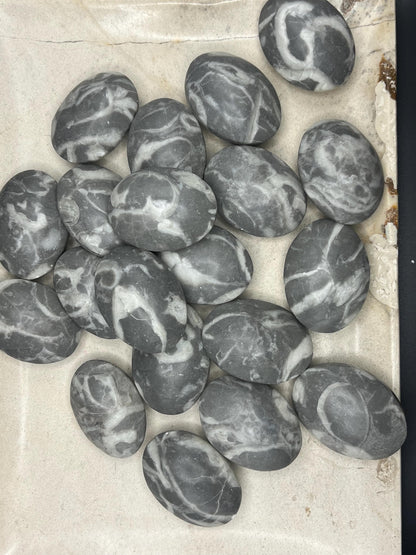 Texas Shell Stone Fossil: Polished Palm Worry Stone, Home Decor Home Decor Worry Pocket Stress Anxiety Palm Stone