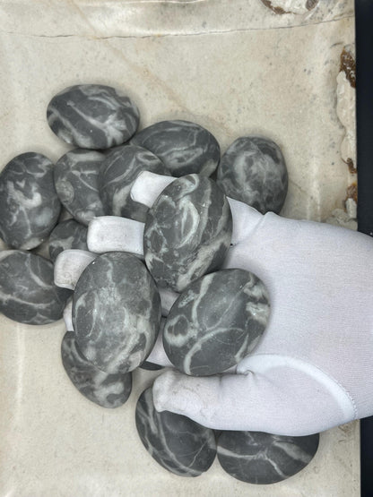 Texas Shell Stone Fossil: Polished Palm Worry Stone, Home Decor Home Decor Worry Pocket Stress Anxiety Palm Stone