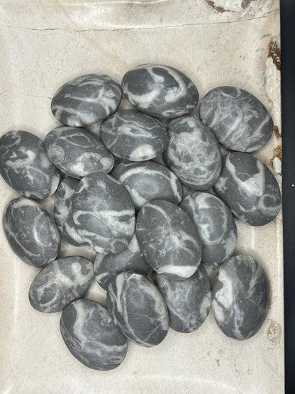 Texas Shell Stone Fossil: Polished Palm Worry Stone, Home Decor Home Decor Worry Pocket Stress Anxiety Palm Stone