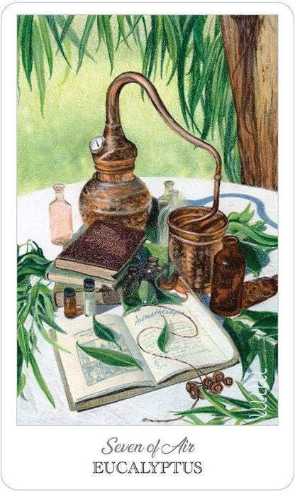 The Herbcrafter's Tarot Deck and Guidebook 78 Cards Fully Licensed and Original Inclusive Tarot Deck Guidebook Home Decor Gift