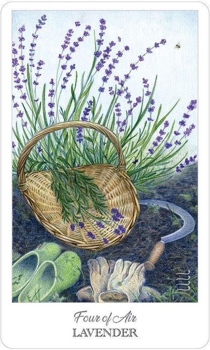 The Herbcrafter's Tarot Deck and Guidebook 78 Cards Fully Licensed and Original Inclusive Tarot Deck Guidebook Home Decor Gift