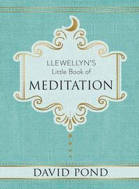 Llewellyn's Little Book of Meditation David Pond Creating Magickal Space Midnight Witch Spirituality Study Balance Book Home Decor Healing