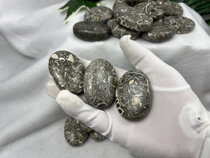 Turritella Fossil Palm Stone: Maharashtra Natural Carved Worry Stone Home Decor Worry Pocket Stress Anxiety Palm Stone