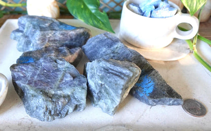 Raw Labradorite Crystals Natural Crystal Worry Stone Home Decor Anxiety Pocket Distraction Meditation Gift Birthday Christmas