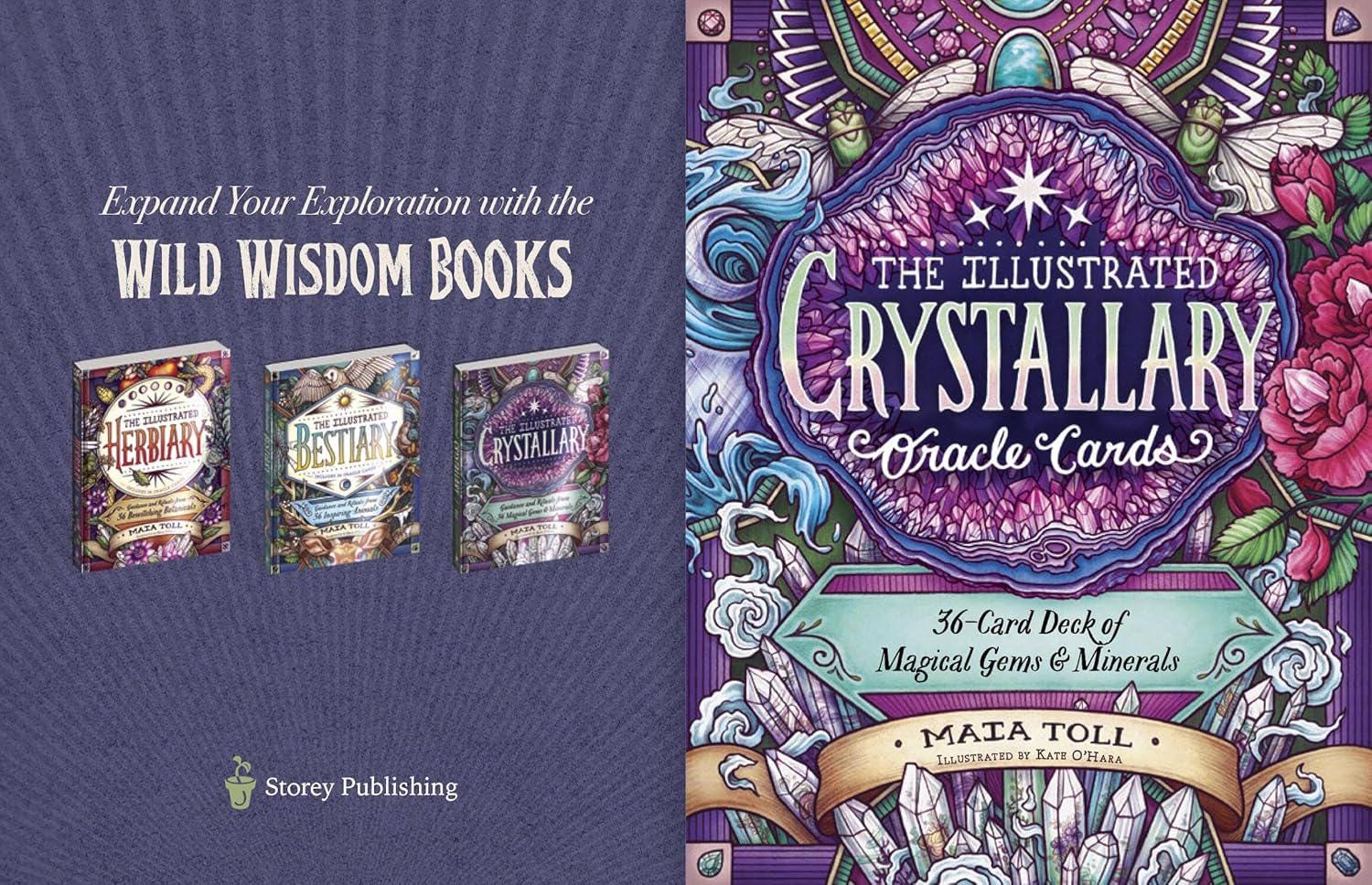 The Illustrated Crystallary Oracle Cards Home Decor Worry Prayer Anxiety Distraction 36-Card Deck of Magical Gems and Minerals Wild Wisdom