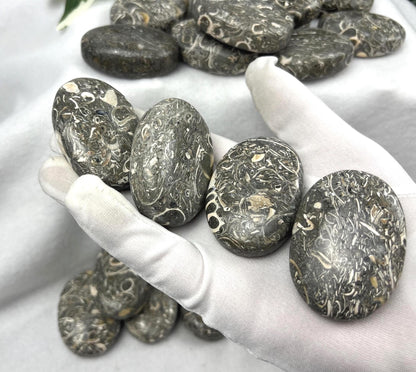 Turritella Fossil Palm Stone: Maharashtra Natural Carved Worry Stone Home Decor Worry Pocket Stress Anxiety Palm Stone