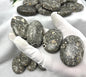 Turritella Fossil Palm Stone: Maharashtra Natural Carved Worry Stone Home Decor Worry Pocket Stress Anxiety Palm Stone