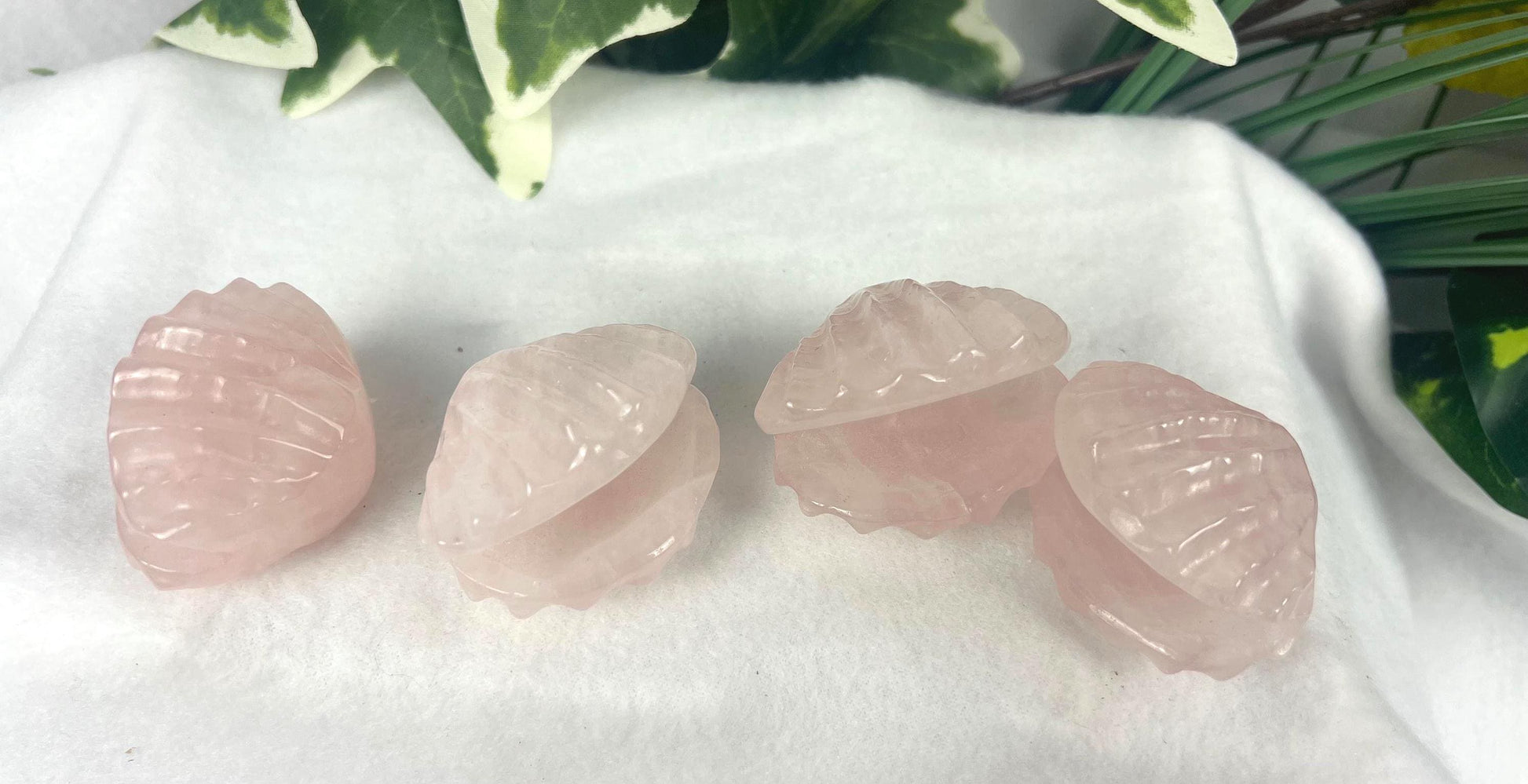 Rose Quartz Scallop Carved Palm Stone: Polished Crystal Decor Home Decor Worry Pocket Stress Anxiety Palm Stone