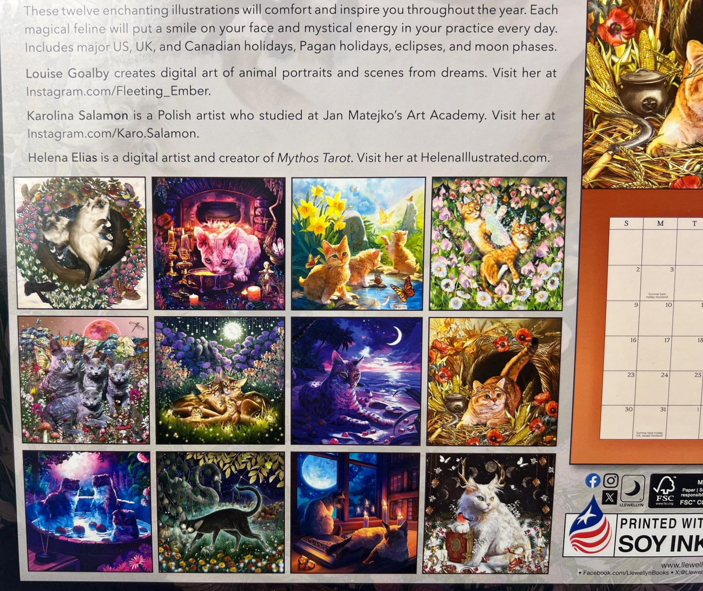 Llewellyn's 2026 Magical Mystical Cats Calendar Art Painting Picture Craft Holiday Christmas Xmas Gift Home Decor Christmas Xmas Birthday