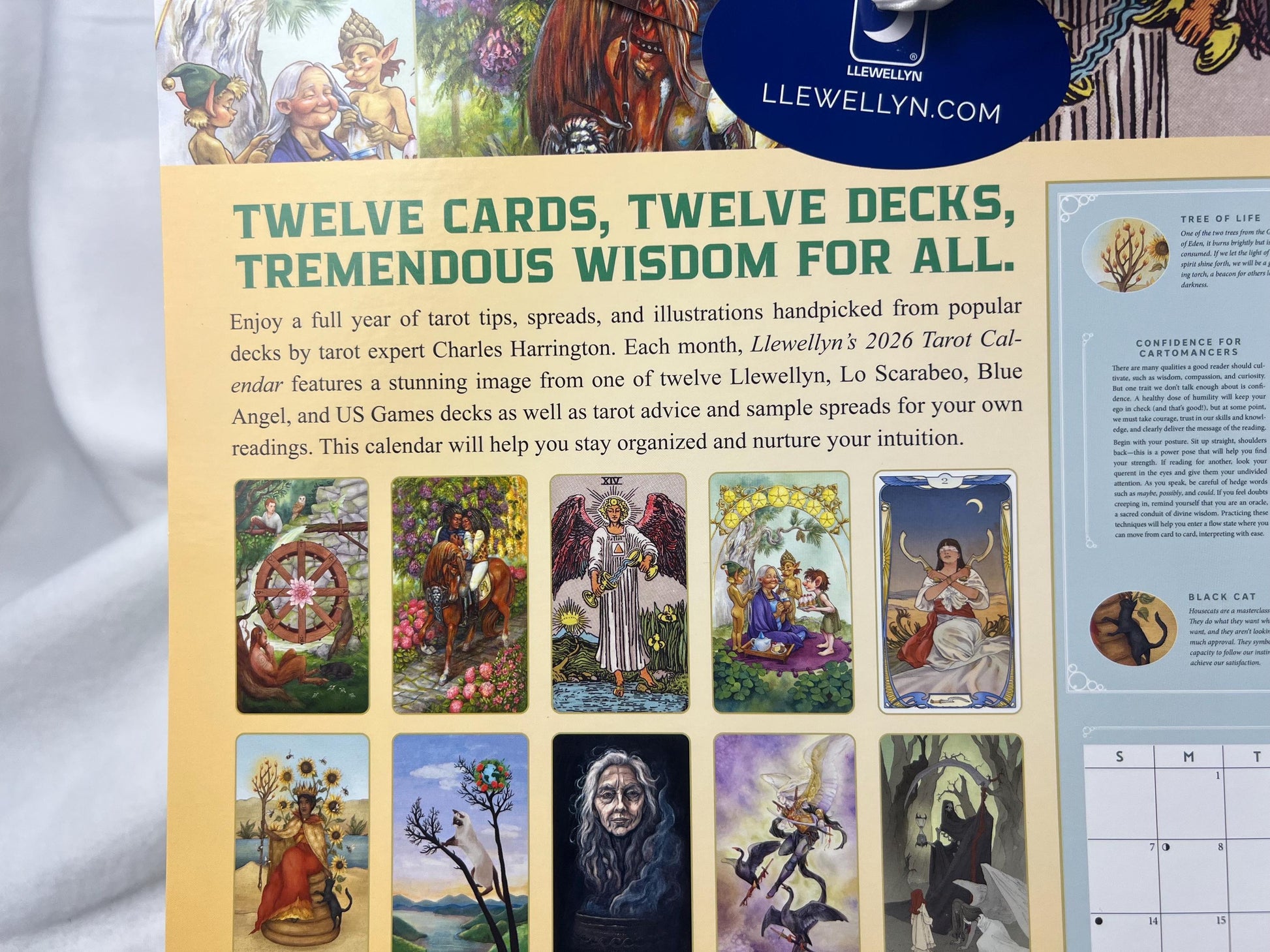 Llewellyn's 2026 Tarot Calendar Home Decor Wall Picture Craft Holiday Christmas Xmas Birthday Funny Llewelyn Journal Gift Meditation